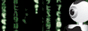 88_31_02.gif  height=