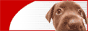 acmelogo.gif  height=