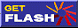 adobe_getflash2.gif  height=