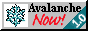 avanow1.gif  height=