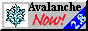 avanow28.gif  height=
