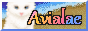 avialae.gif  height=