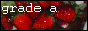 az_1.gif  height=