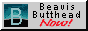 beabut.gif  height=