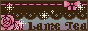 bn-m2.gif  height=