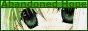buttonaban.gif  height=