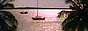 cc.gif  height=