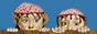 chainsawed.gif  height=