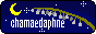 chamaedaphne.gif  height=