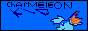 charmeleonkid.gif  height=