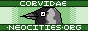 corvidae.png  height=