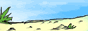 csnz_link.gif  height=