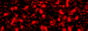 cyber-creative88.gif  height=