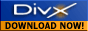 divx_logo2.gif  height=