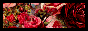 dreadromantic.png  height=