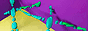 dx.gif  height=