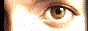 ff-banner.gif  height=
