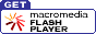 flash_get_20010813.gif  height=