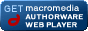 get_authorware_88_31_20021015.gif  height=