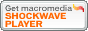 get_shock_player_20040607.gif  height=