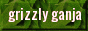 grizzlyganja.gif  height=