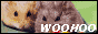 hamsterbuddies.gif  height=