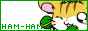 hqbutton15.gif  height=