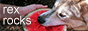 itzrex.png  height=