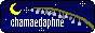 linkbanner.gif  height=