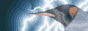 linuxgames_button.gif  height=