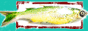 lit_knipka.gif  height=