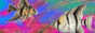 luvfromme.gif  height=