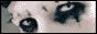 numetal.gif  height=