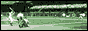 playball.gif  height=