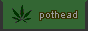 pothead.gif  height=