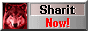 sharitnow.gif  height=