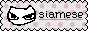 siamese.gif  height=