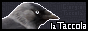 taccola.png  height=