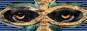 ten_button4.gif  height=