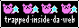 tidw2.gif  height=