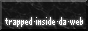 trapped-inside-da-web_tidw.gif  height=