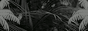 v.gif  height=