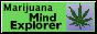 weedmexplore.gif  height=