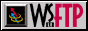 wsftp3.gif  height=