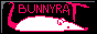 xxbunnyratxx.gif  height=